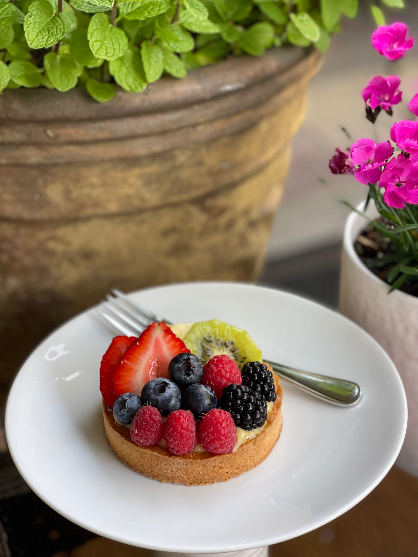 Tart Box
